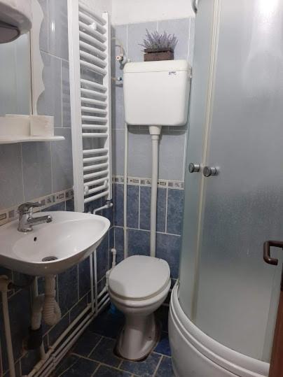 Privatni Smestaj Dobri Dobrosin Exterior foto